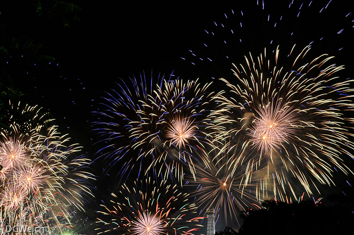 Bastille Day Fireworks