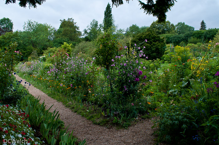 Monet's garden