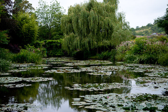 Monet's garden