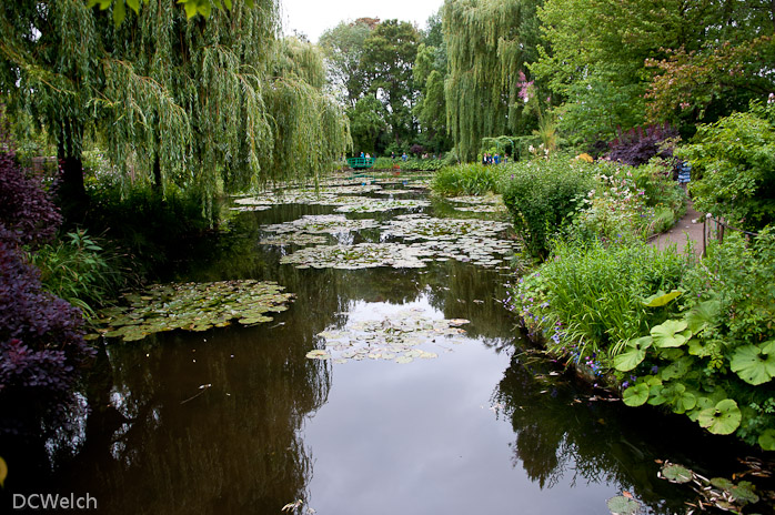 Monet's garden