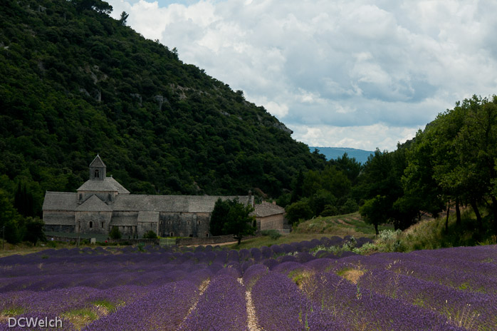 Senanque Abbey
